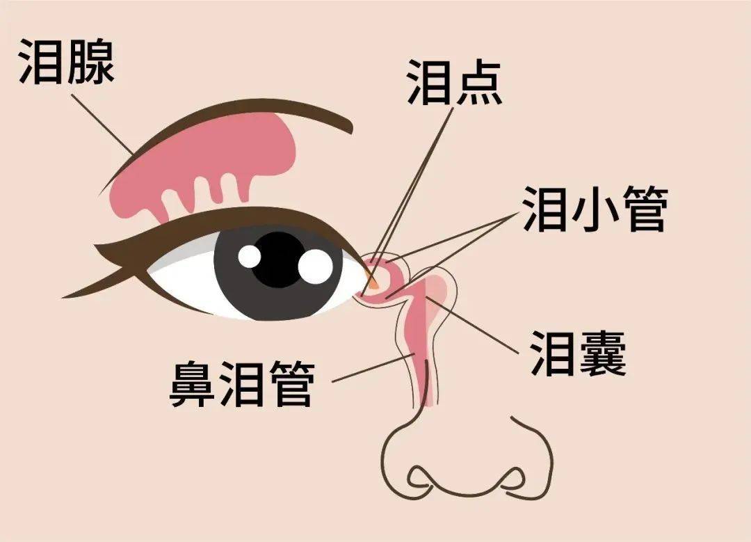 兰州爱尔眼科医院范好荣主任：眼睛迎风流泪，到底是不是病(图1)